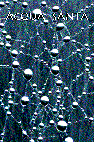 Acqua Santa 4