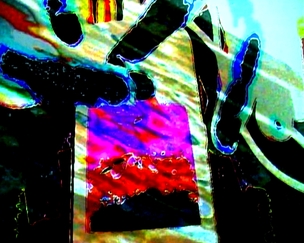 SPDitaNere_6902