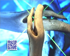 Legno Marino