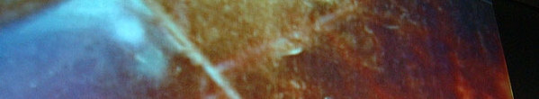 immagini3
